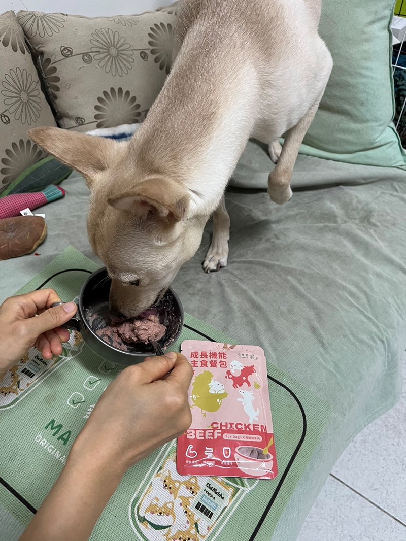 試用